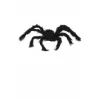 Araña Negra Peluda