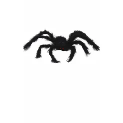 Araña Negra Peluda