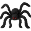 Araña Negra Peluda Gigante