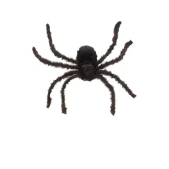 Araña Peluda Gigante