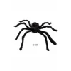 Araña Viuda Negra