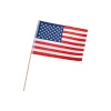 Bandera de USA Pequeña