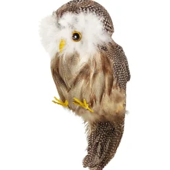 Búho Plumas