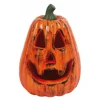 Calabaza Alargada