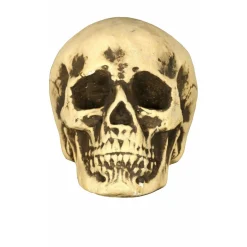 Calavera Foam