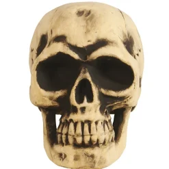 Calavera Grande Foam