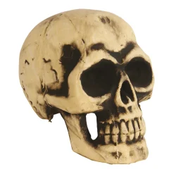 Calavera Grande Foam