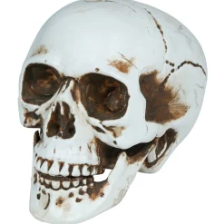Calavera Halloween