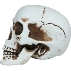 Calavera Halloween