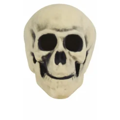 Calavera Siniestra