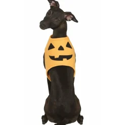 Disfraz de Calabaza Naranja para mascota