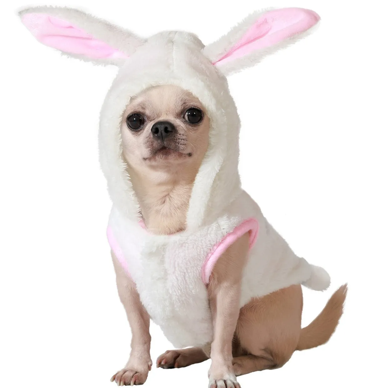 Disfraz de Conejo para mascota