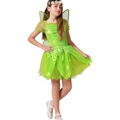 Disfraz de Hada Verde Alas para niña