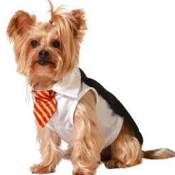 Disfraz de Mago Harry School para mascota