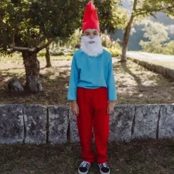 Disfraz de Papá Duende Clásico infantil
