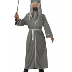 Disfraz de Profesor Mago Albus infantil