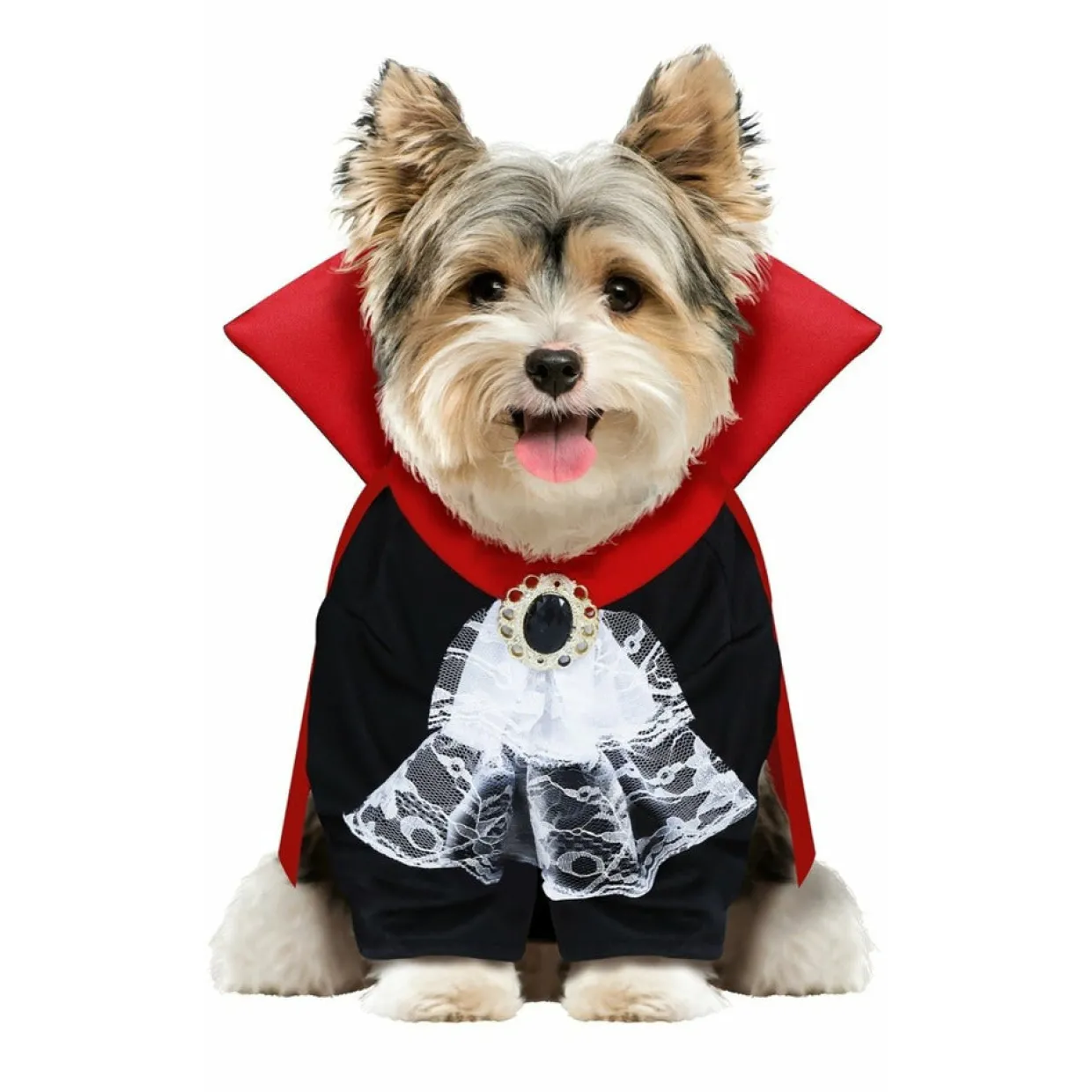 Disfraz de Vampiro para mascota