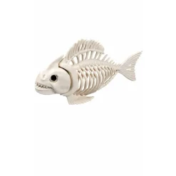 Esqueleto de Piraña