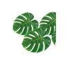 Hojas de Palmera