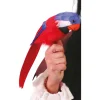 Loro Tropical
