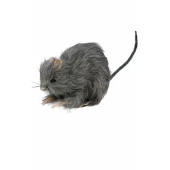 Rata Pequeña