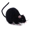 Ratón Negro