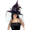 Sombrero Bruja Plumas