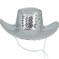 Sombrero de Vaquera Plateado
